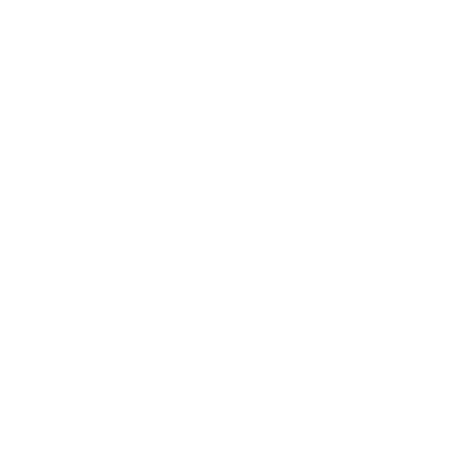 River North Basement Company Logo